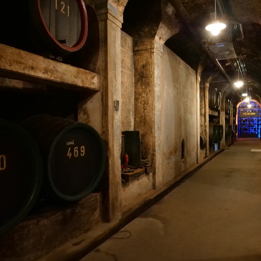 Ein Korridor im Bremer Ratskeller der zur "Schatzkammer" führt. Auf dem Weg sind viele Weinfässer
